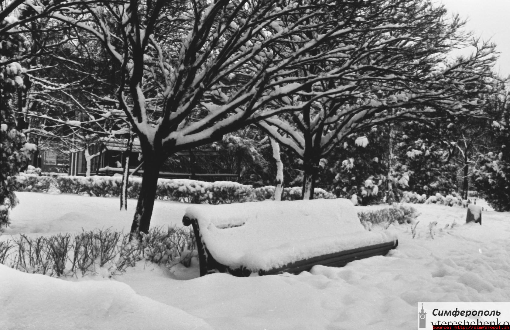 Прикрепленное изображение: Парк Тренёва.jpg